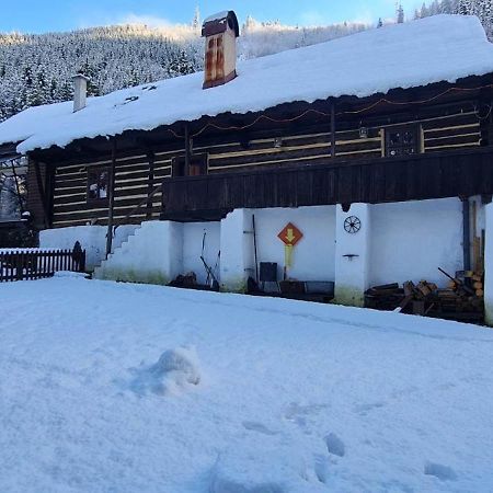 Drevenica Inga Villa Staré Hory Exteriör bild