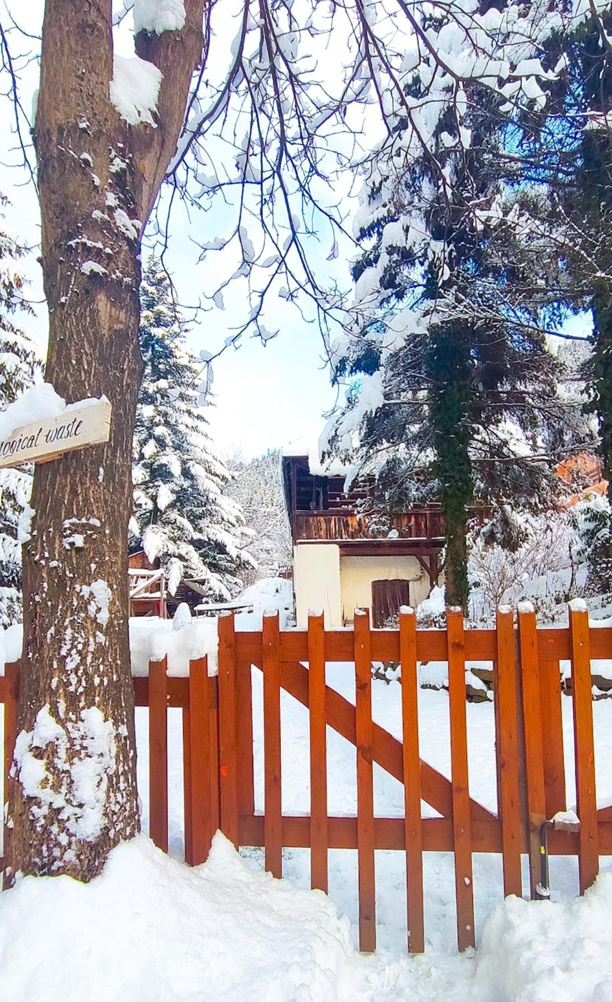 Drevenica Inga Villa Staré Hory Exteriör bild